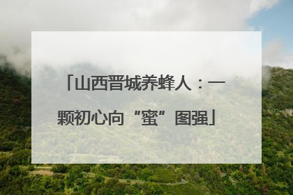 山西晋城养蜂人：一颗初心向“蜜”图强