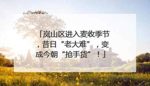 岚山区进入麦收季节，昔日“老大难”，变成今朝“抢手货”！