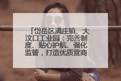 岱岳区满庄镇、大汶口工业园：完善制度、贴心护航、强化监管，打造优质营商“强磁场”