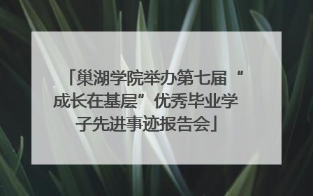 巢湖学院举办第七届“成长在基层”优秀毕业学子先进事迹报告会