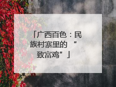 广西百色：民族村寨里的 “致富鸡”