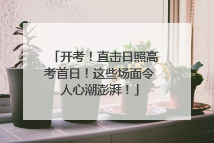 开考！直击日照高考首日！这些场面令人心潮澎湃！