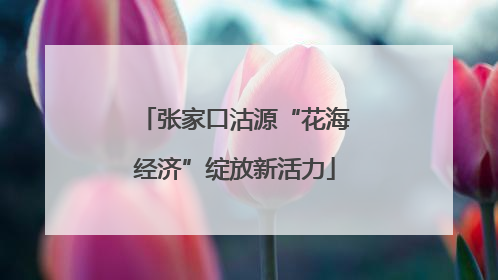 张家口沽源“花海经济”绽放新活力