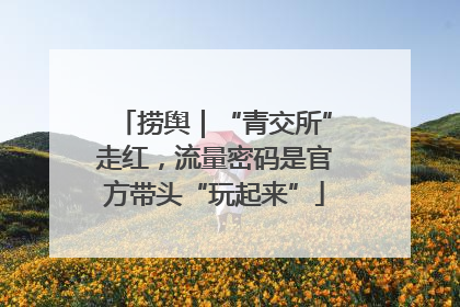 捞舆｜“青交所”走红，流量密码是官方带头“玩起来”