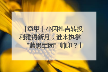 意甲｜小因扎吉转投利雅得新月，谁来执掌“蓝黑军团”帅印？