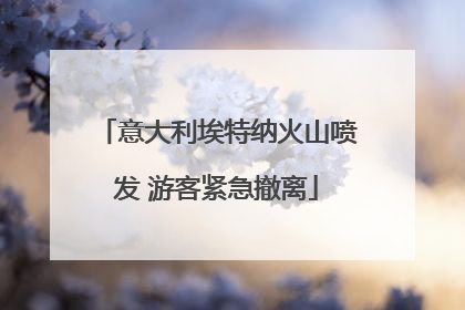 意大利埃特纳火山喷发 游客紧急撤离