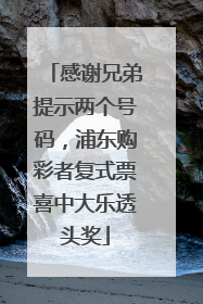 感谢兄弟提示两个号码，浦东购彩者复式票喜中大乐透头奖