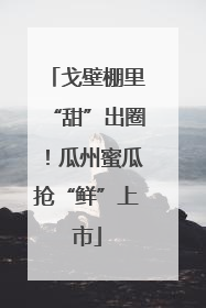 戈壁棚里“甜”出圈！瓜州蜜瓜抢“鲜”上市