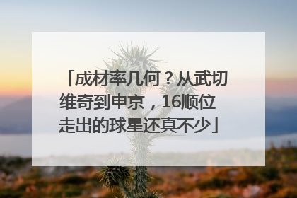 成材率几何？从武切维奇到申京，16顺位走出的球星还真不少