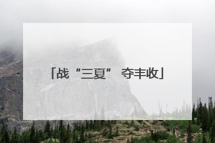 战“三夏” 夺丰收