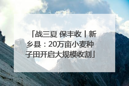 战三夏 保丰收丨新乡县：20万亩小麦种子田开启大规模收割