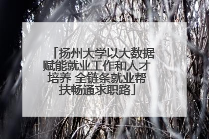 扬州大学以大数据赋能就业工作和人才培养 全链条就业帮扶畅通求职路