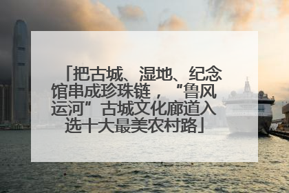 把古城、湿地、纪念馆串成珍珠链，“鲁风运河”古城文化廊道入选十大最美农村路