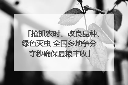 抢抓农时、改良品种、绿色灭虫 全国多地争分夺秒确保夏粮丰收