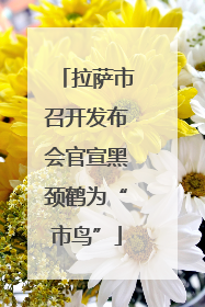 拉萨市召开发布会官宣黑颈鹤为“市鸟”