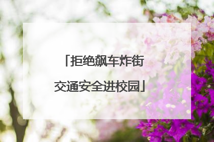 拒绝飙车炸街 交通安全进校园