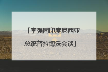 李强同印度尼西亚总统普拉博沃会谈