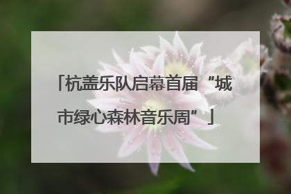 杭盖乐队启幕首届“城市绿心森林音乐周”