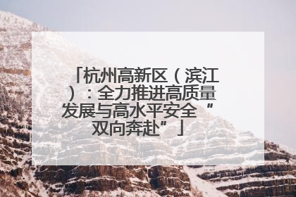 杭州高新区（滨江）：全力推进高质量发展与高水平安全“双向奔赴”