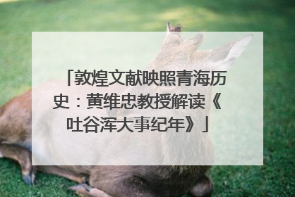敦煌文献映照青海历史：黄维忠教授解读《吐谷浑大事纪年》
