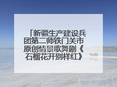 新疆生产建设兵团第二师铁门关市原创情景歌舞剧《石榴花开别样红》将来河北巡演