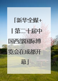 新华全媒+丨第二十届中国西部国际博览会在成都开幕