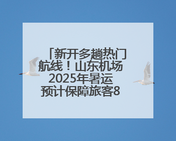 新开多趟热门航线！山东机场2025年暑运预计保障旅客800万人次