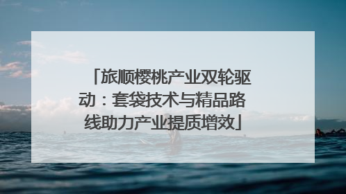 旅顺樱桃产业双轮驱动：套袋技术与精品路线助力产业提质增效