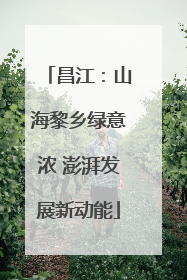 昌江：山海黎乡绿意浓 澎湃发展新动能