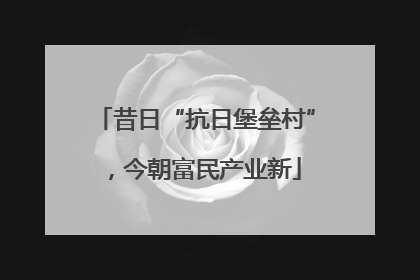 昔日“抗日堡垒村”，今朝富民产业新