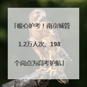 暖心护考！南京城管1.2万人次、198个岗点为高考护航