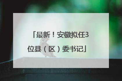 最新！安徽拟任3位县（区）委书记