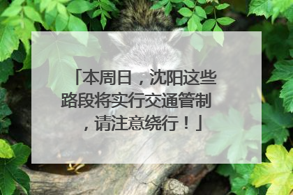 本周日，沈阳这些路段将实行交通管制，请注意绕行！