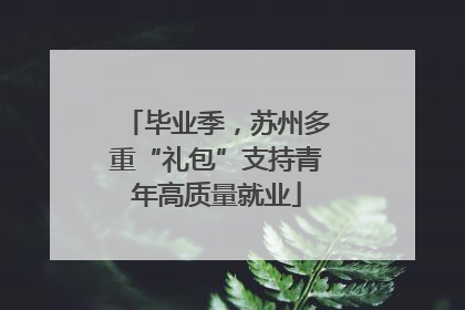 毕业季，苏州多重“礼包”支持青年高质量就业