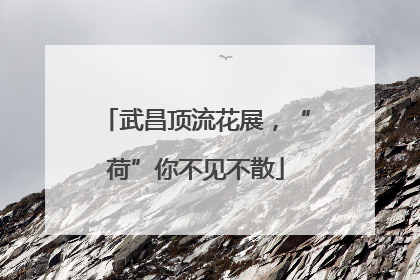 武昌顶流花展，“荷”你不见不散