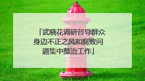 武晓花调研督导群众身边不正之风和腐败问题集中整治工作