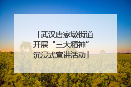 武汉唐家墩街道开展“三大精神”沉浸式宣讲活动