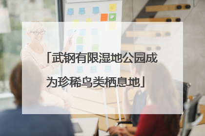 武钢有限湿地公园成为珍稀鸟类栖息地