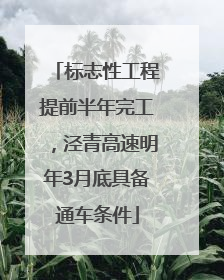 标志性工程提前半年完工，泾青高速明年3月底具备通车条件
