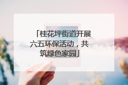 桂花坪街道开展六五环保活动，共筑绿色家园