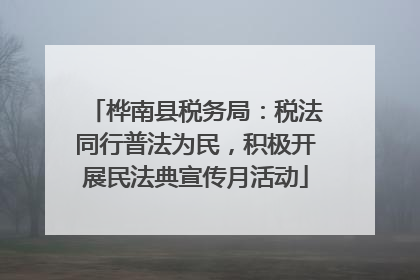 桦南县税务局：税法同行普法为民，积极开展民法典宣传月活动