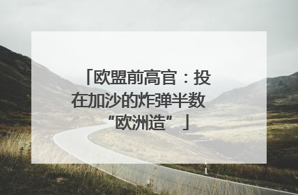 欧盟前高官：投在加沙的炸弹半数“欧洲造”