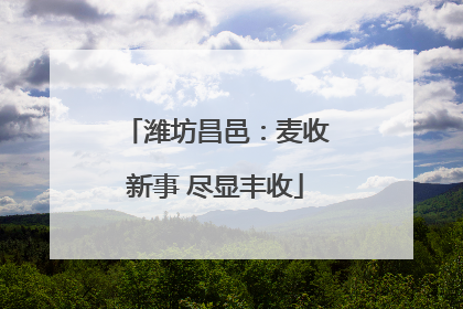 潍坊昌邑：麦收新事 尽显丰收