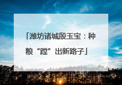 潍坊诸城殷玉宝：种粮“蹚”出新路子