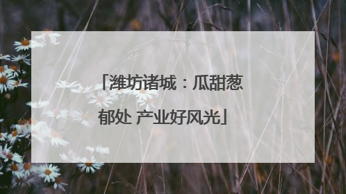 潍坊诸城：瓜甜葱郁处 产业好风光