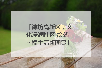 潍坊高新区：文化浸润社区 绘就幸福生活新图景