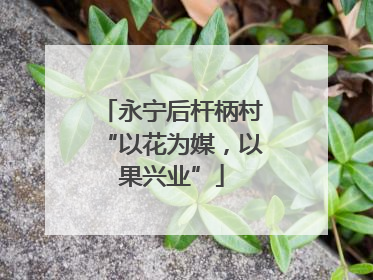 永宁后杆柄村“以花为媒，以果兴业”