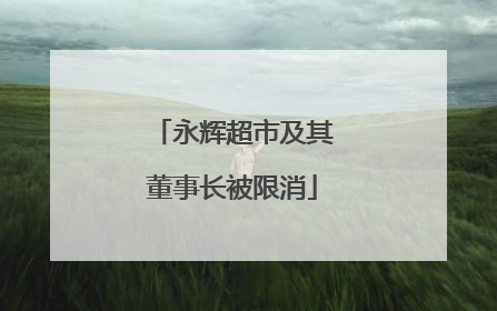 永辉超市及其董事长被限消
