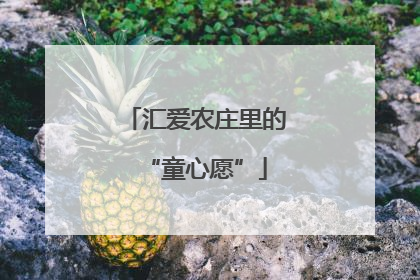 汇爱农庄里的“童心愿”