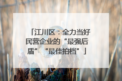 江川区：全力当好民营企业的“最强后盾”“最佳拍档”
